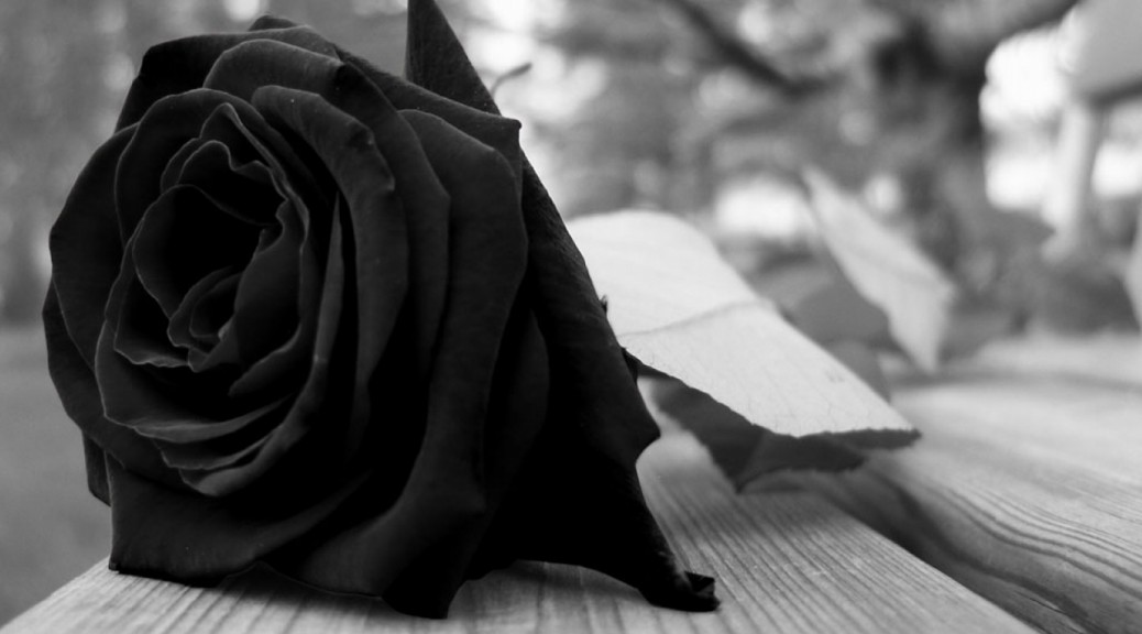 mourning-rose