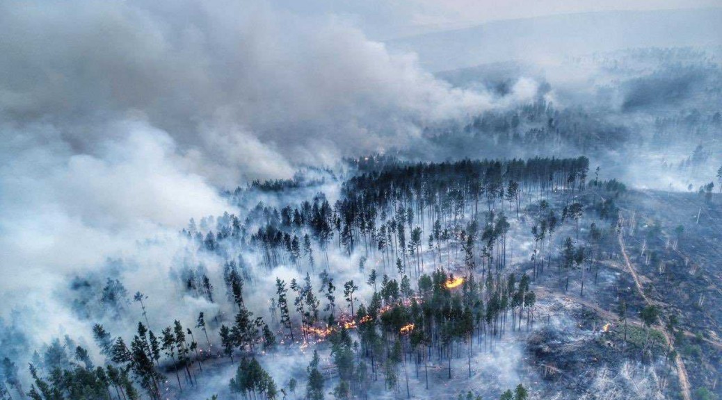 foresta siberia