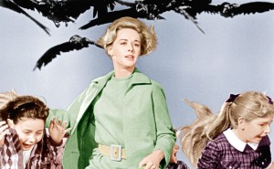 THE BIRDS, Tippi Hedren (center), 1963